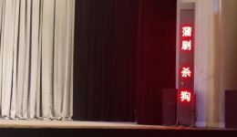 蒲剧《杀狗》全集下载｜谷丽梅郭双奎李小丽联袂演绎，经典伦理大戏在线畅享