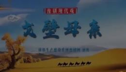 戈壁母亲