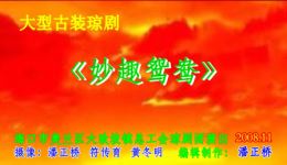 妙趣鸳鸯