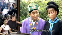 安徽庐剧经典《张秀英卖子》在线下载，感受底层百姓苦难与坚韧
