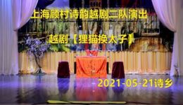 狸猫换太子