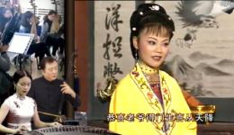 安徽庐剧《张秀英卖子》在线观看下载，经典苦情戏，感受母爱伟大