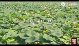 豫剧《香魂女》全场戏在线观看 河南省豫剧三团经典现代戏资源下载 豫剧《香魂女》全场戏在线观看 河南省豫剧三团经典现代戏资源下载