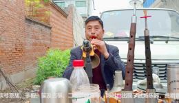 唢呐高手演绎河南曲剧经典片段，传统老曲韵味十足，在线畅听传统戏曲之美