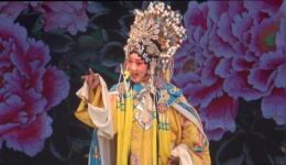 北路梆子《金水桥》上集高清下载 - 忻州市梅琳北路梆子剧团苏瑞芳主演下载
