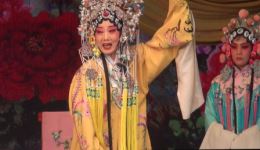 北路梆子《金水桥》中集下载｜忻州市梅琳北路梆子剧团苏瑞芳主演经典戏曲资源下载
