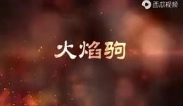 秦腔经典全本戏《火焰驹》在线下载，陈妙华等名家主演，忠义传奇大剧
