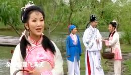 黄梅戏《九斤姑娘》片段下载陈琳演绎河边遇书生精彩选段 黄梅戏《九斤姑娘》片段下载陈琳演绎河边遇书生精彩选段