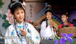 罗成下山