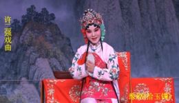 豫剧《拾玉镯》全场戏下载_吴素真主演经典戏曲资源_高清完整版在线观看下载
