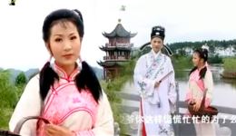 黄梅戏《九斤姑娘》陈琳演唱精彩片段,河边遇情缘,经典戏曲在线观看下载 黄梅戏《九斤姑娘》陈琳演唱精彩片段,河边遇情缘,经典戏曲在线观看下载