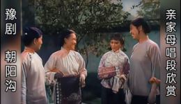 豫剧《朝阳沟》亲家母对唱选段下载 - 经典戏曲资源在线观看下载