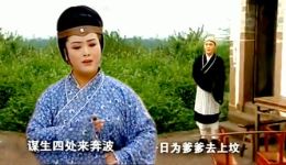 黄梅戏《小寡妇补缸》选段在线观看，钱统武邢小凤演绎，经典寡妇补缸故事，戏曲资源免费下载下载