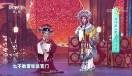 黄梅戏《女驸马》选段下载，陶慧敏、郑培钦精彩演绎，经典戏曲资源在线获取