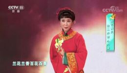 黄梅戏《夫妻观灯》选段下载 - 张二丹张伟演唱高清资源下载