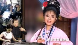 黄梅戏《跳粉墙》郑芳演唱，经典唱段传递感恩深情，戏曲资源下载下载