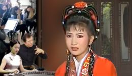 嫂代姑嫁