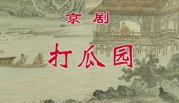打瓜园