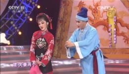 黄梅戏《夫妻观灯》选段下载 金波袁雪凝精彩演绎 经典戏曲资源一键获取