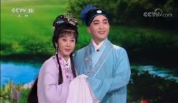 曹震张淑景联袂演绎黄梅戏《天仙配》选段，精彩呈现“路遇”片段下载