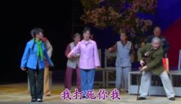 紫花丁