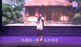 只见鸿雁腾了空