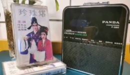 庐剧《珍珠塔》音频下载 - 李立存陈其应高坤荣演唱经典庐剧选段下载