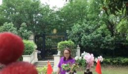 淮海戏《大唐女帅听谯楼》选段 沈苏演唱 传统戏曲经典选段下载