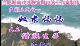 庐剧《借腹生子》公开版下载刘长芳倾情演唱，经典伦理剧目在线获取下载