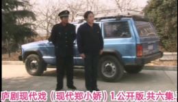 现代郑小娇