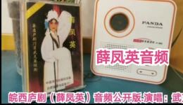 薛凤英