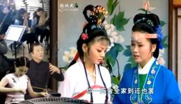 罗成下山