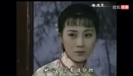 黄梅戏《家》经典选段你们青梅竹马情脉脉，吴亚玲周莉深情演绎在线下载