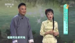黄梅戏《啼笑姻缘》选段下载阎青妤、田英男经典演唱在线获取下载