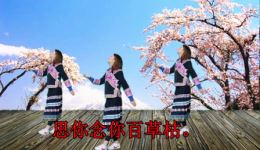 云南山歌《今生我已爱上你》在线试听,经典民间情歌免费下载,感受原汁原味的云南风情 云南山歌《今生我已爱上你》在线试听,经典民间情歌免费下载,感受原汁原味的云南风情