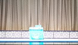 京剧《游龙戏凤》孙孝海王新主演 经典生旦对戏 传统剧目在线观看下载下载