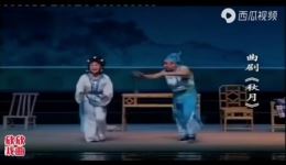 曲剧《秋月》全剧高清下载｜孙玉香郭秋芳海波主演，经典古装戏曲资源在线获取下载