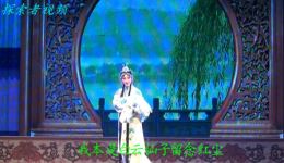 扬剧《白蛇传》上金山选段下载 - 李霞等精彩演绎戏曲资源