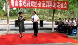 现代京剧《沙家浜》高清下载｜邢和新李淑丽主演红色经典，沉浸式重温抗战峥嵘岁月下载