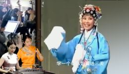 黄梅戏《登州找子》在线观看贾氏女寻子故事,黄鸿英精彩演唱 黄梅戏《登州找子》在线观看贾氏女寻子故事,黄鸿英精彩演唱