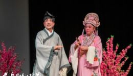 黄梅戏《戏风》风仙主演,经典传统戏曲,感受舞台艺术魅力 黄梅戏《戏风》风仙主演,经典传统戏曲,感受舞台艺术魅力