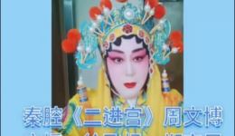 秦腔《二进宫》周文博演唱，经典唱腔演绎宫廷权谋，纯正秦腔韵味在线畅听