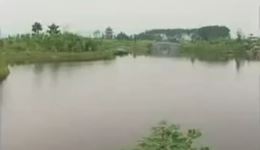 黄梅戏《二十四孝》全集下载 - 经典孝道戏曲资源,完整剧集免费获取 黄梅戏《二十四孝》全集下载 - 经典孝道戏曲资源,完整剧集免费获取