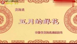 五月的鲜花