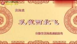 黄梅戏《孔雀西北飞》全集下载 - 袁媛何云赵章伟主演高清资源下载