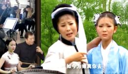 黄梅戏《三上轿》全剧下载|经典悲情大戏 悲愤交织的复仇传奇在线观 黄梅戏《三上轿》全剧下载|经典悲情大戏 悲愤交织的复仇传奇在线观