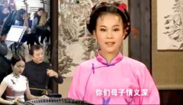 黄梅戏《孤儿寡母好伤心》全剧在线观看，刑小凤腾中玉演绎催泪亲情悲剧下载