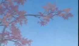 柳荫记