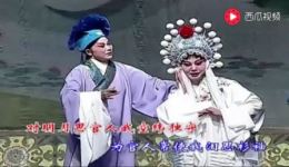 豫剧《断桥》党玉倩经典唱段下载，哭啼啼把官人急忙搀起高清资源