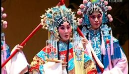 魏海敏京剧《贵妃醉酒》经典演绎，梅派风采在线下载